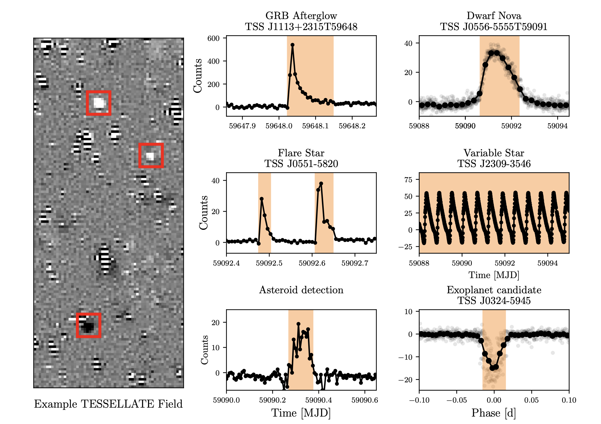 Transient class light curves detected by the TESSELLATE pipeline